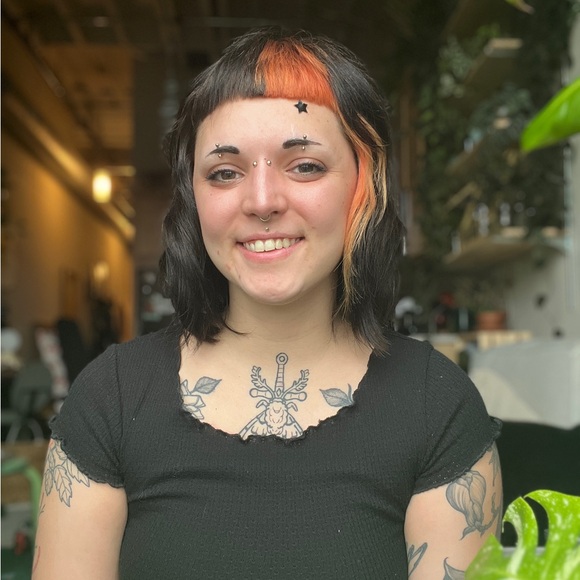 Meet your Posher, Tabby - Picture 1 of 1